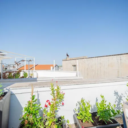 Fascino Antico Casa vacanze Conversano